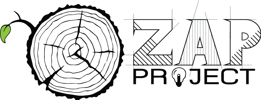 ZAP project